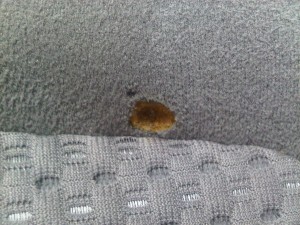 Automobile seat fabric burn hole repair