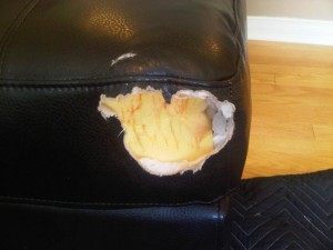 Dog bite on leather sectional repair