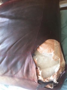 Dog Bite on aged leather Sofa cushion &#8220;Hand Sewn and Repaired&#8221;