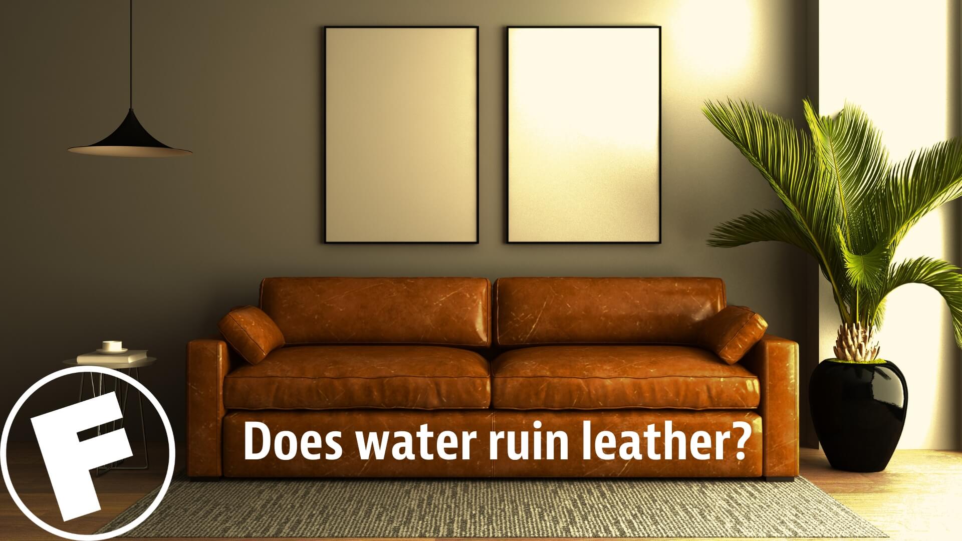 Here Are the Dos and Don'ts of Leather - Better Sofas